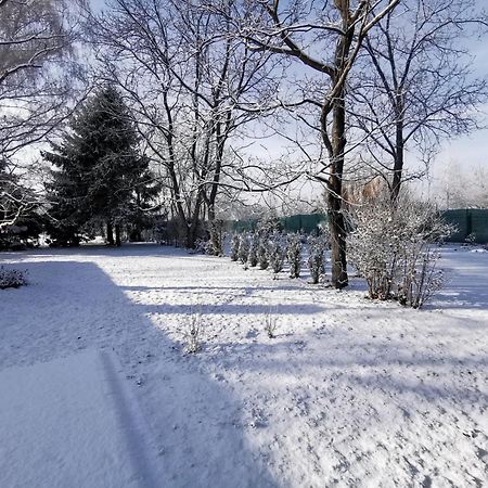 Szent Erzsébet Apartmanház Kecskemét Exterior foto